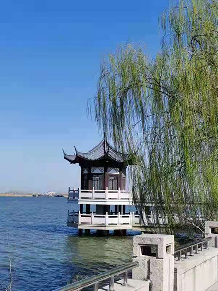 周家鸿手机拍图——淮水春光