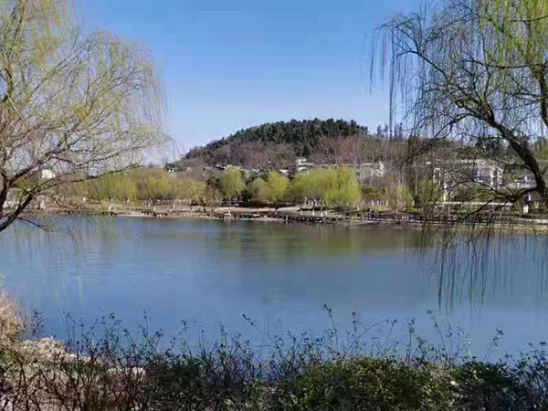 周家鸿手机拍图——淮水春光