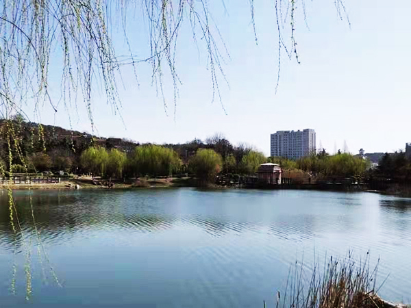 周家鸿手机拍图——淮水春光