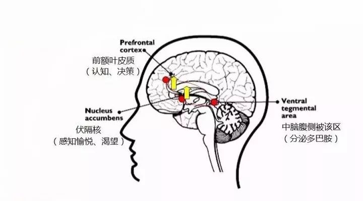 揭秘购买盲盒背后的心理机制：我们到底在购买什么？