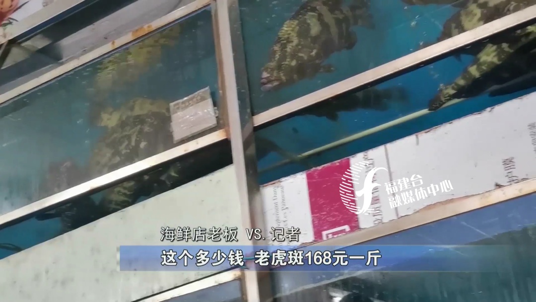 全程揭秘厦门“低价游黑链”，是如何被坑的？