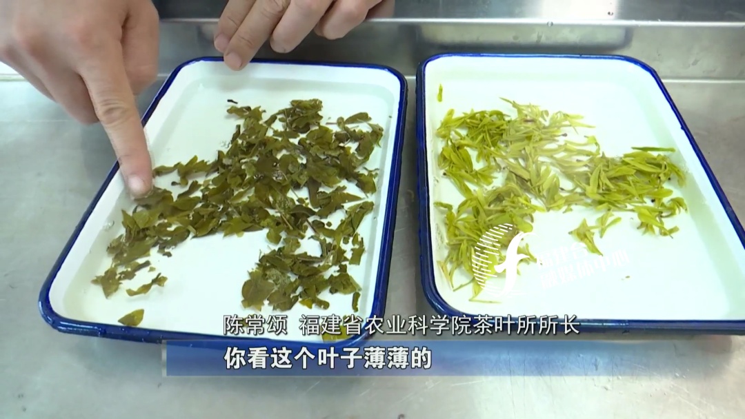 全程揭秘厦门“低价游黑链”，是如何被坑的？