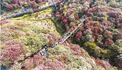 今年将迎首个旅游高峰