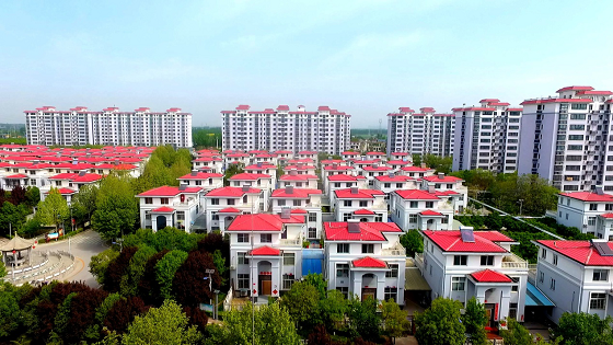 梦想照亮现实：东大阳堤的振兴之路