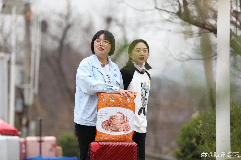 慢综艺展现当代人社交图鉴