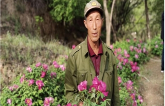 忻州玉清观 牡丹争艳圣境地