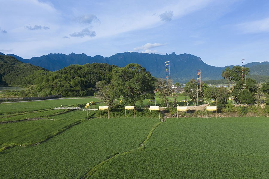 农作物废料变身“植染艺术品”，把福建这个乡村装扮成艺术馆！