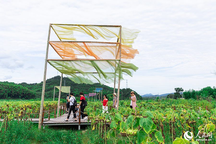 农作物废料变身“植染艺术品”，把福建这个乡村装扮成艺术馆！