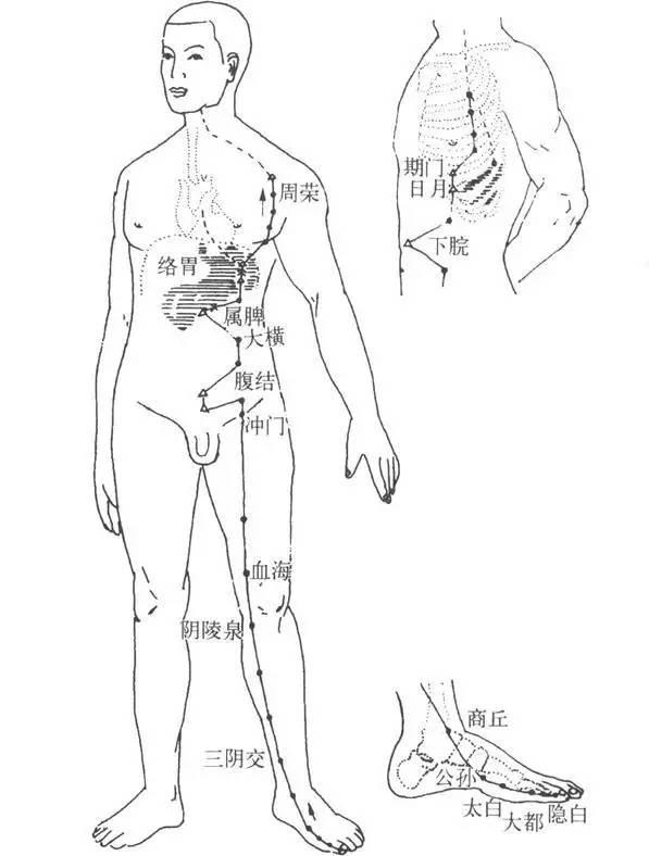 7个方法调理好你的中焦和脾胃，排出身体寒湿