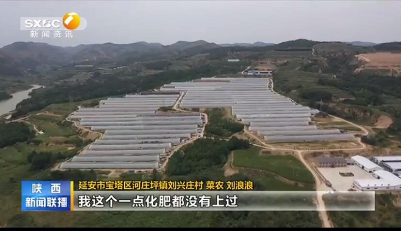 【奋斗百年路 启航新征程】延安： 特色农业绘就乡村振兴新画卷