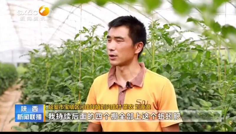 【奋斗百年路 启航新征程】延安： 特色农业绘就乡村振兴新画卷