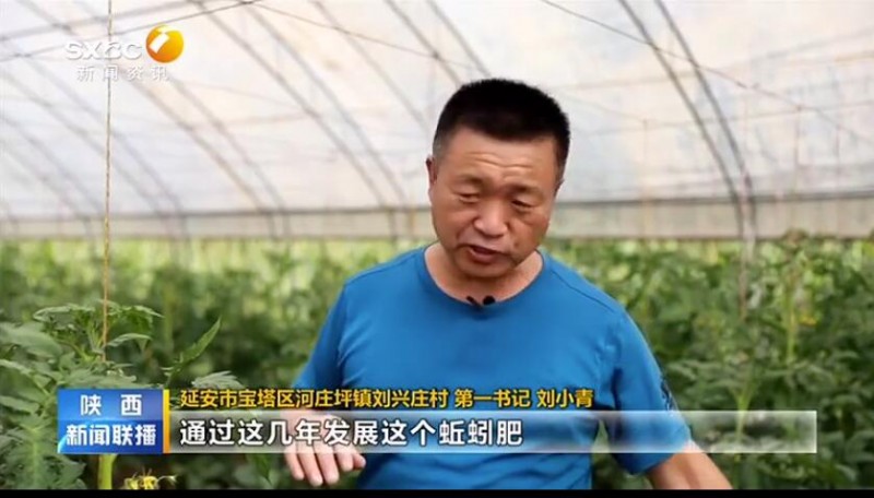 【奋斗百年路 启航新征程】延安： 特色农业绘就乡村振兴新画卷