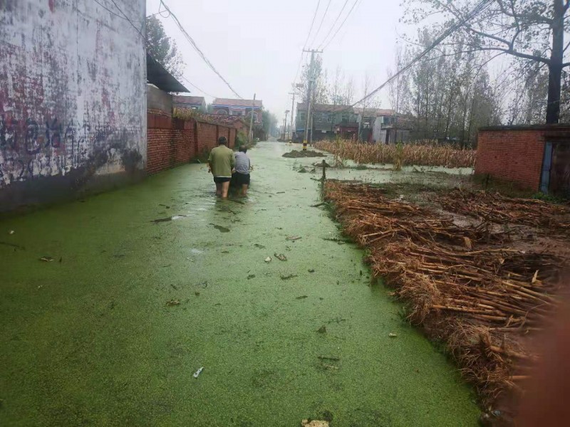 暴雨下的故乡