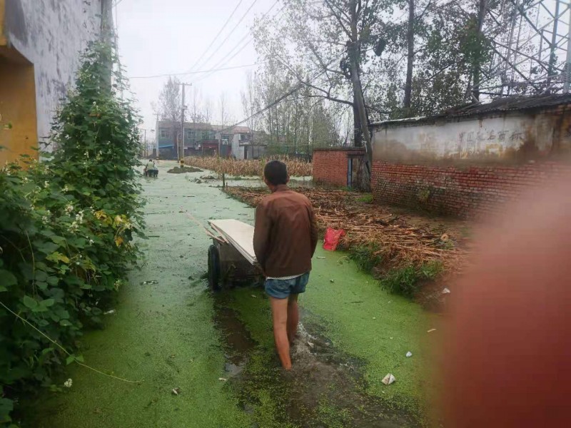 暴雨下的故乡