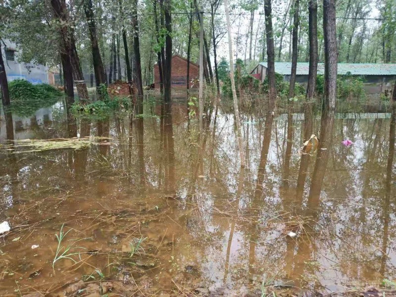 暴雨下的故乡