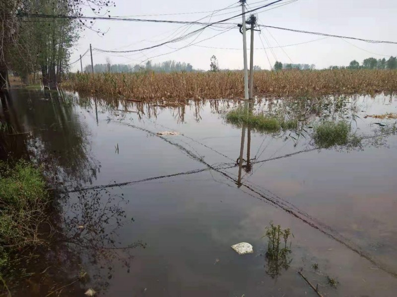 暴雨下的故乡