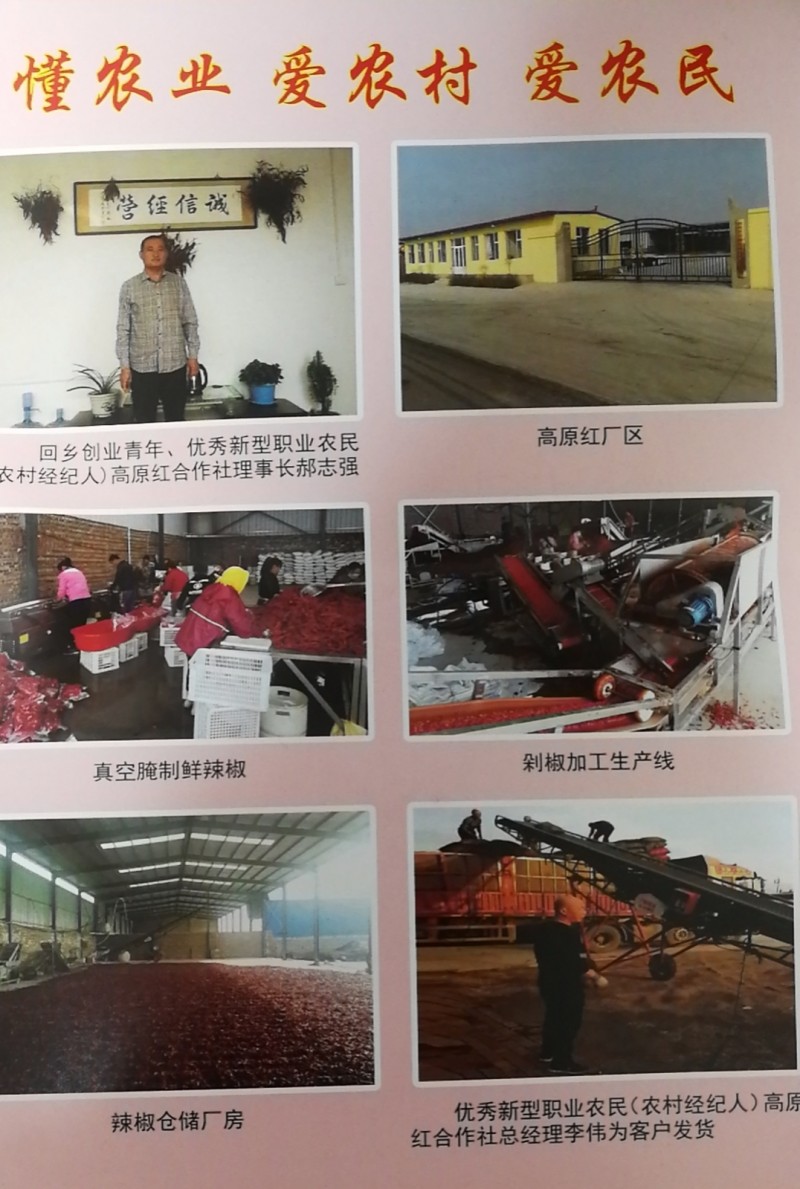 望眼辣椒产业园区之最 还看山西忻州高原红