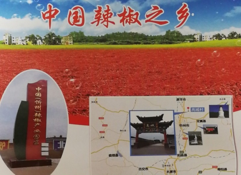 望眼辣椒产业园区之最 还看山西忻州高原红