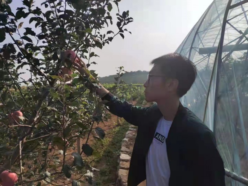 大连中院驻村第一书记用辛勤和汗水战斗于脱贫攻坚一线