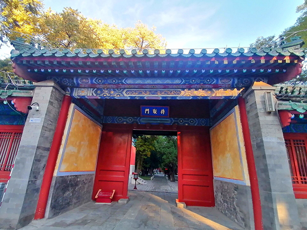 秋到京城已十分——李月手机拍图