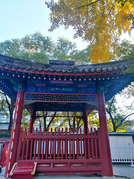 秋到京城已十分——李月手机拍图