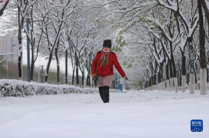 沈阳出现1905年有气象记录以来冬季最强降雪 (1/21)