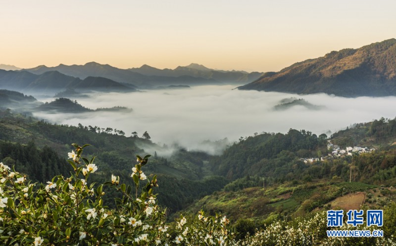 云海漫卷 别样“丰”景