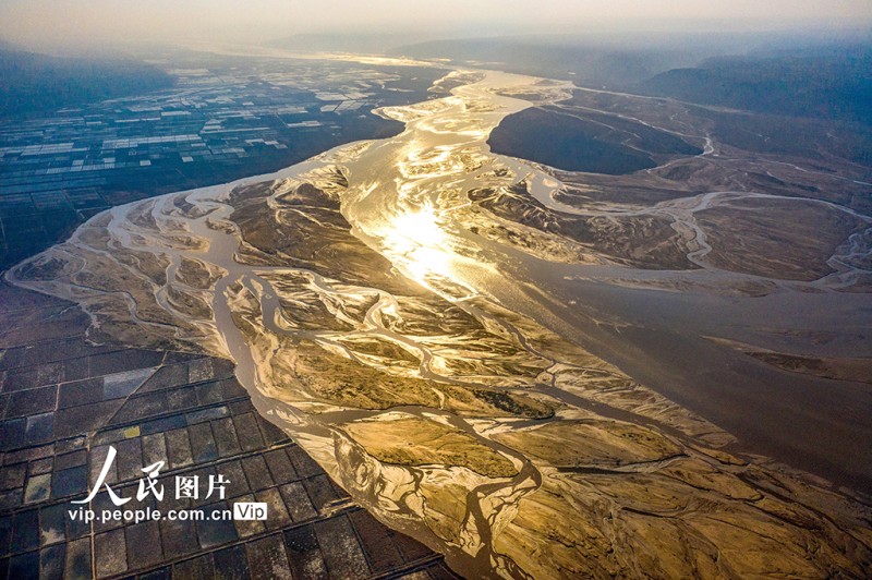黄河水位下降 河床露出线条形态各异蔚为壮观