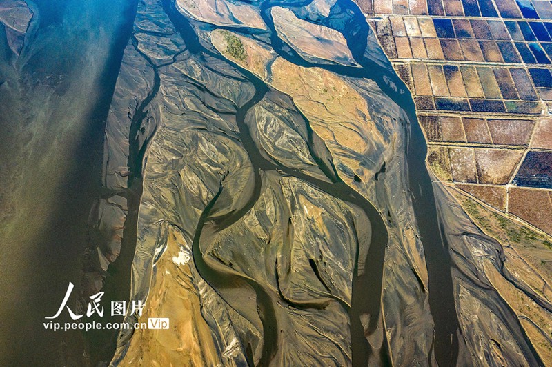 黄河水位下降 河床露出线条形态各异蔚为壮观