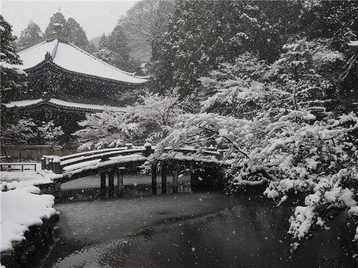京都风情“镜头中的日本”摄影大赛图集