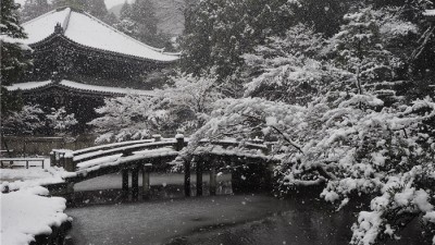京都风情“镜头中的日本”摄影大赛图集