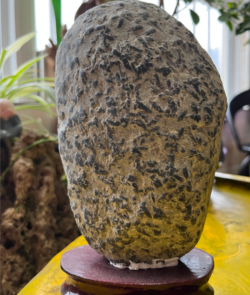 大自然的鬼斧神工，奇石一览
