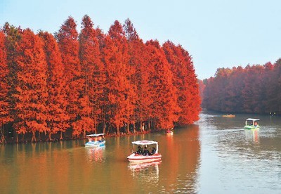 中国旅游走进日常生活