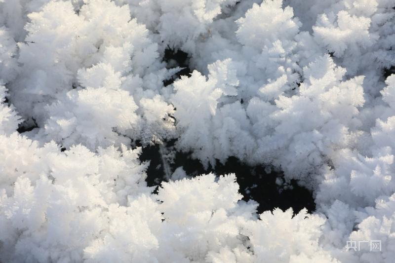 我国最大内陆淡水湖博斯腾湖出现冰花景观