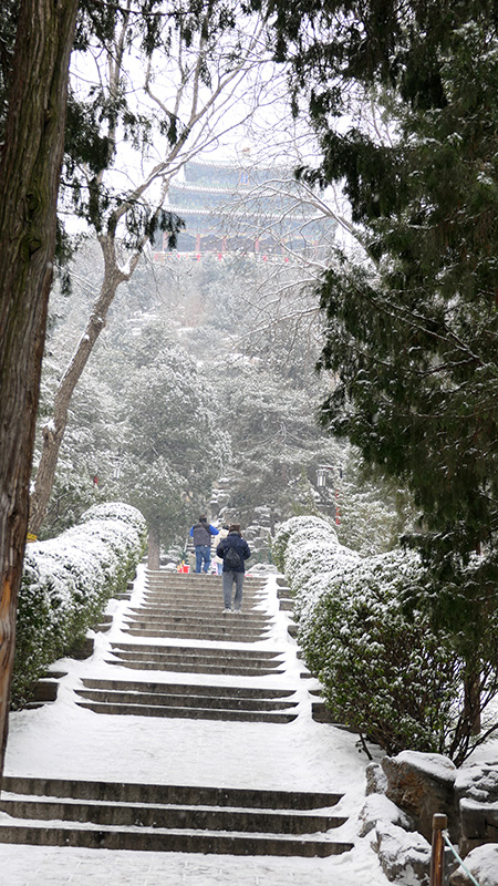 雪中景山公园、故宫