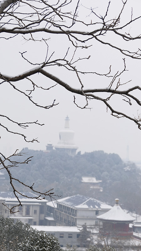 雪中景山公园、故宫