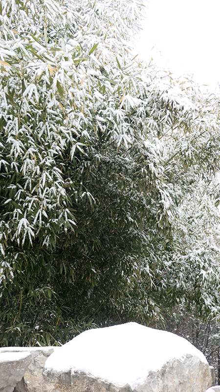 雪中景山公园、故宫