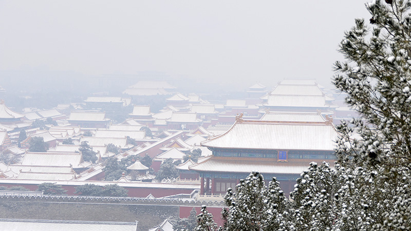 雪中景山公园、故宫——李月摄影