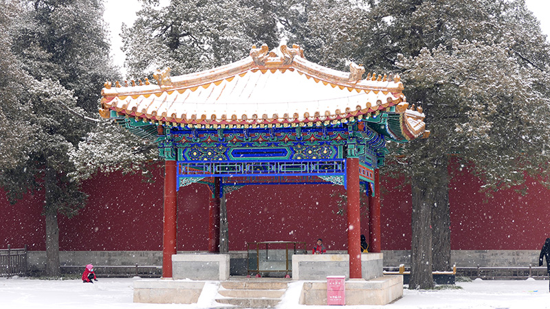 雪中景山公园、故宫——李月摄影