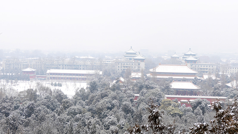 雪中景山公园、故宫——李月摄影