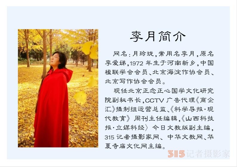 2022壬寅虎年笑琰书法李月诗词台历