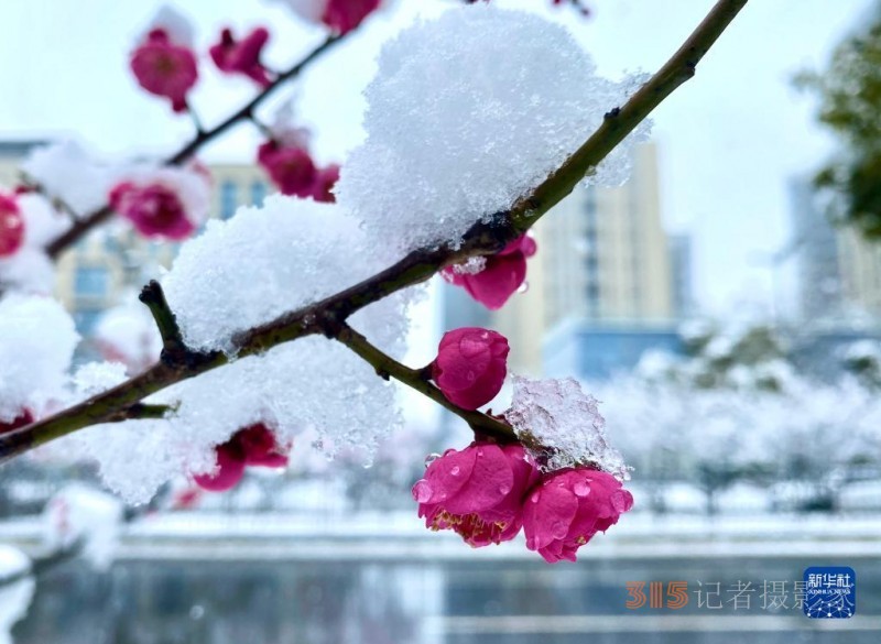 我国多地迎来降雪 