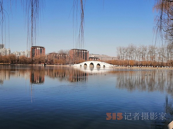李月手机拍图——玉渊潭公园冰开春来