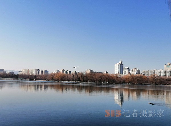 李月手机拍图——玉渊潭公园冰开春来