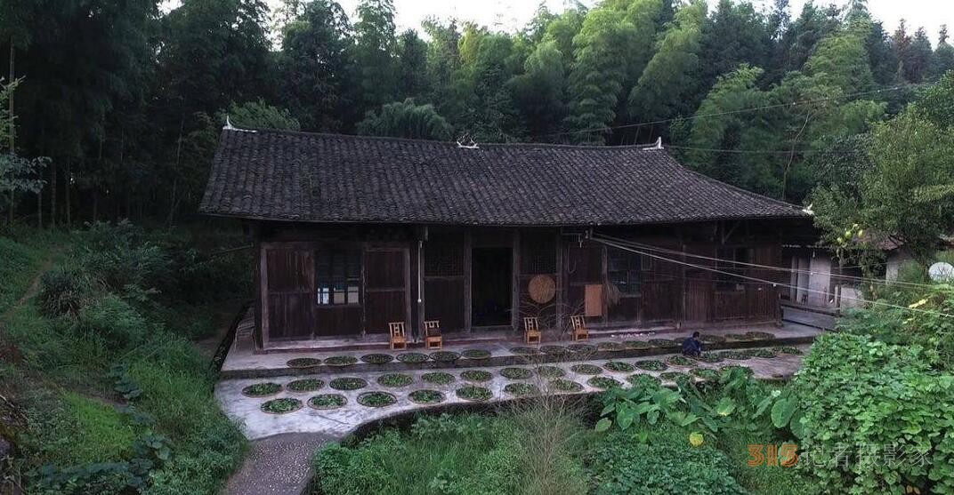 华祥龙茶业创始人——中国茶痴董绍林