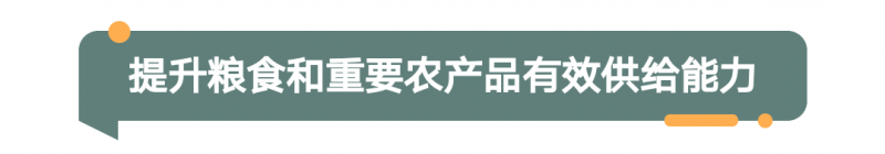 2022年河南省委一号文件发布！