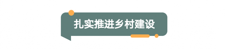 2022年河南省委一号文件发布！