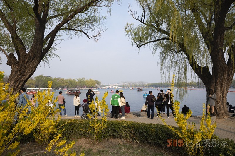 张建华摄影——花开玉渊潭 游人如织来