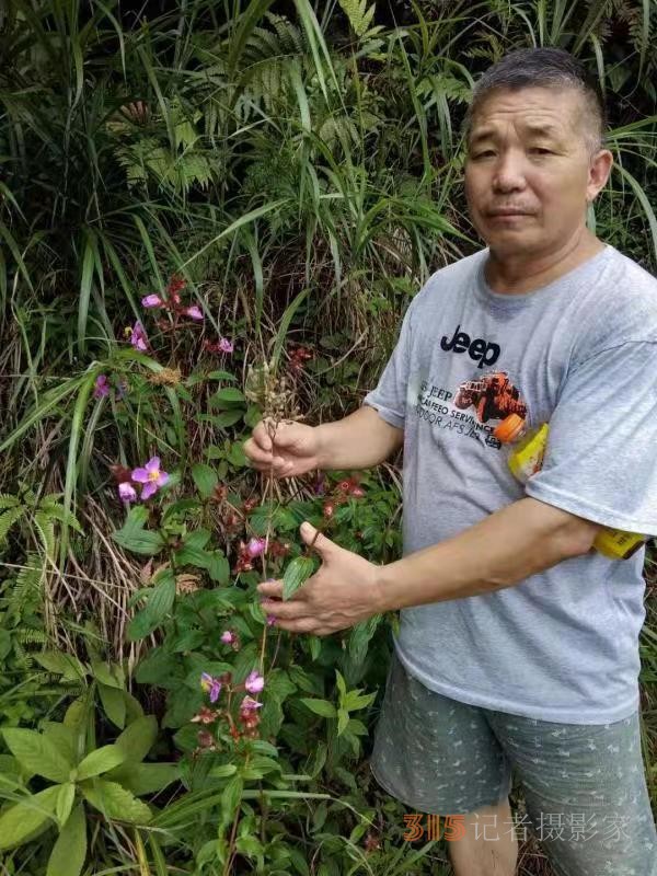 苗医慢病快治专家范景良