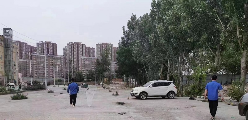 郑州市经济技术开发区管理委员会九龙办事处扎实开展文明养犬专项整治行动